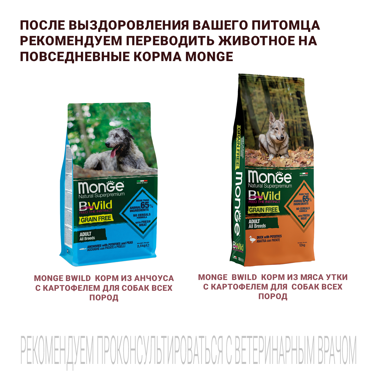 Ветеринарная диета Monge VetSolution Dog Hepatic Гепатик для собак при заболеваниях печени 12 кг
