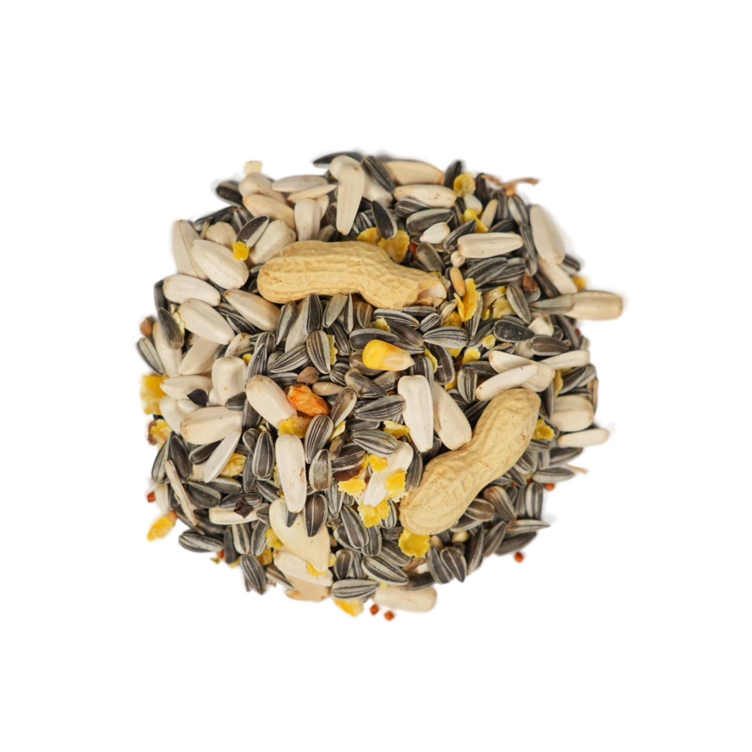 FIORY корм для крупных попугаев Pet Paradise 1 кг