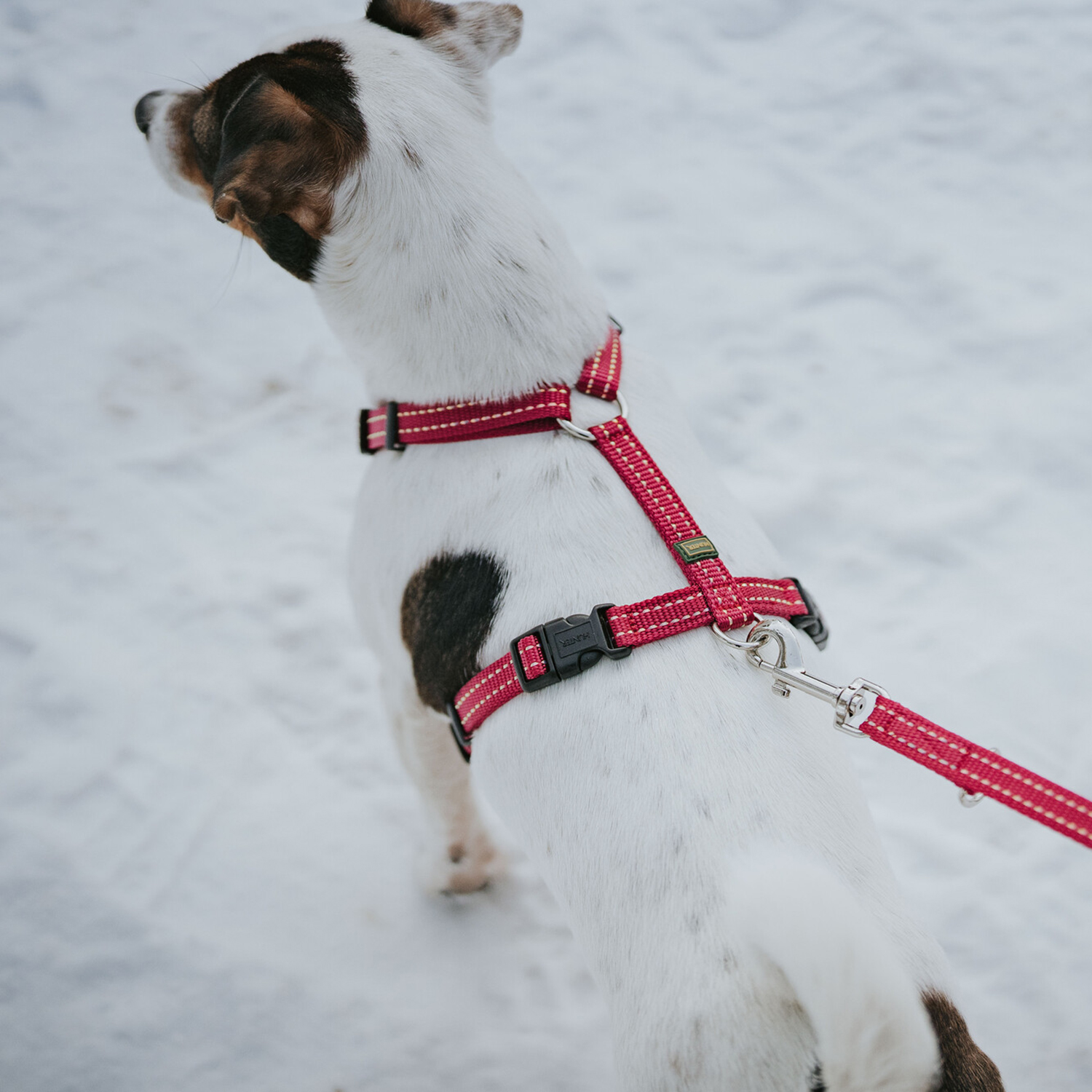 Hunter шлейка для собак Tripoli XXS-XS (32-44 см), нейлон малиновая, светоотражающая