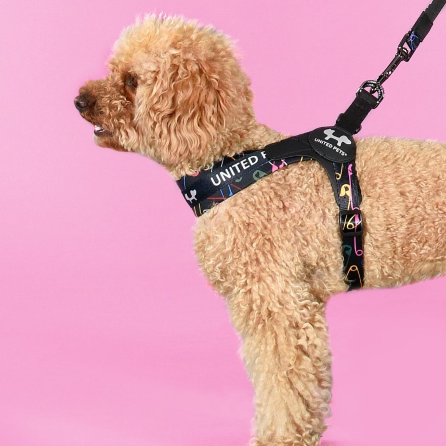 Шлейка United Pets для собак Complete me 2.5 - M 40-54, черный с разноцветными булавками