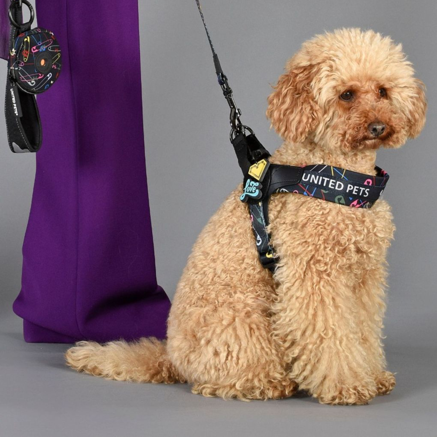 Шлейка United Pets для собак Complete me 2.5 - M 40-54, черный с разноцветными булавками