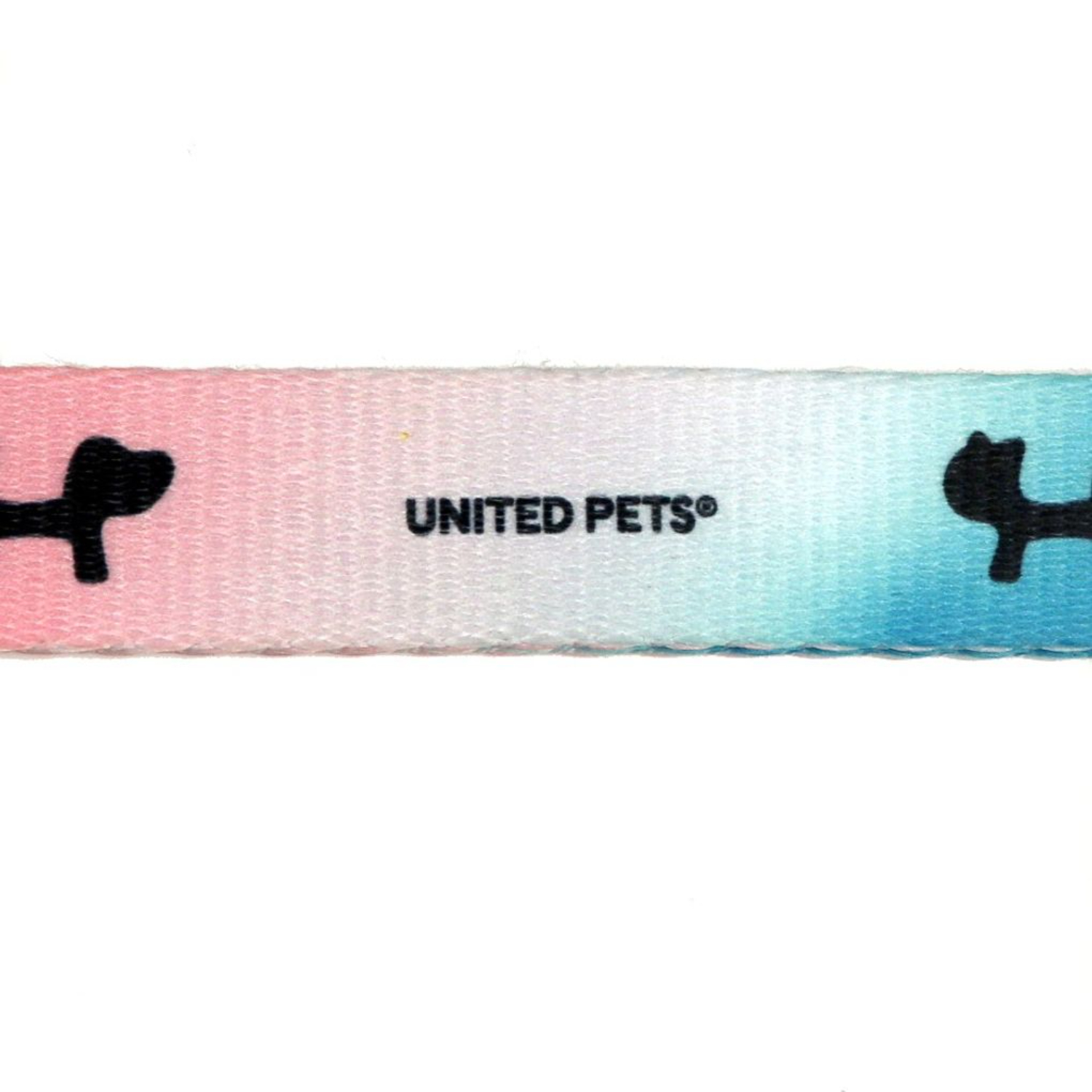 Поводок United Pets для собак Complete me 20 x 1400 mm, розово-голубой тай-дай