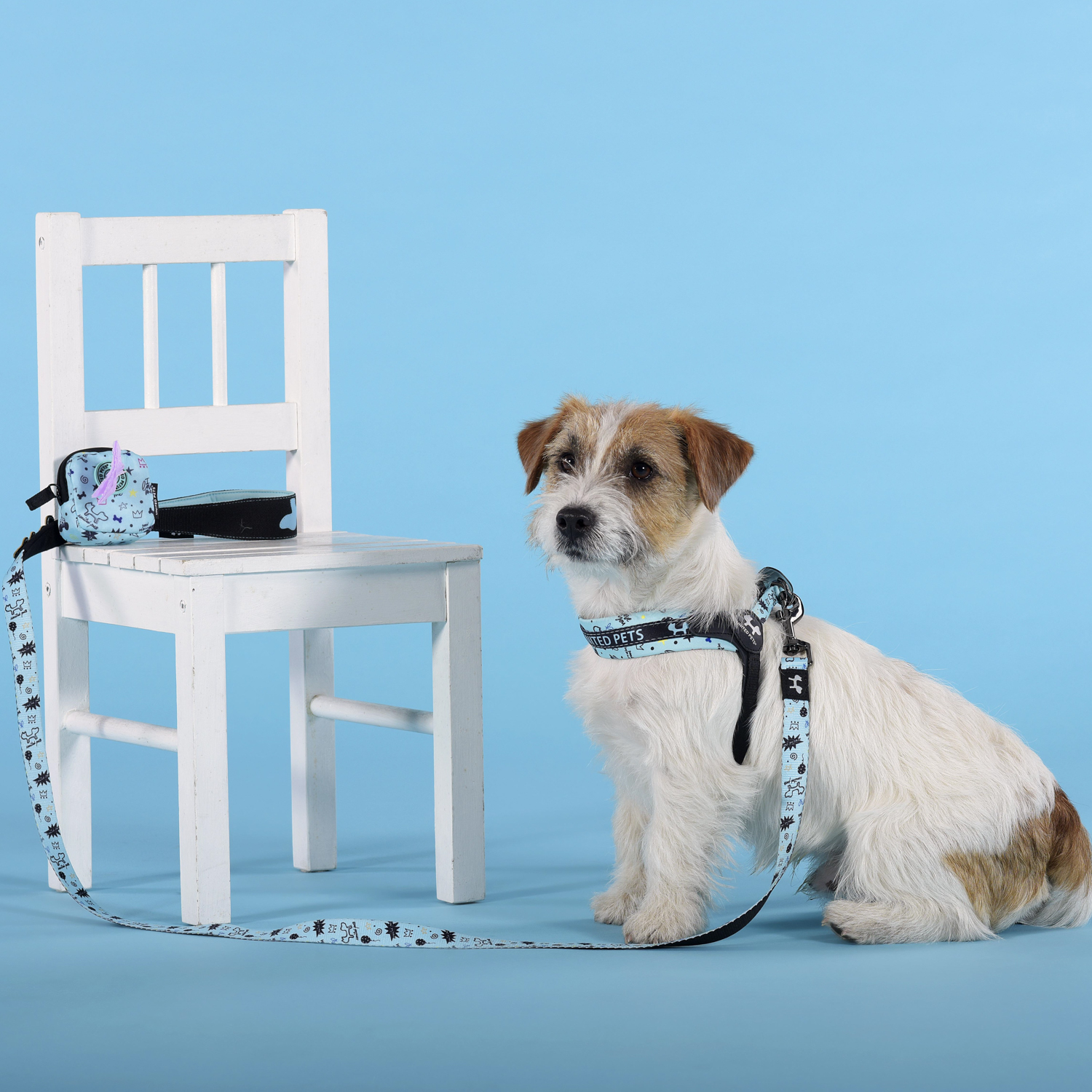 Шлейка United Pets для собак Complete me Writing 2,5 x 40-54 см, голубая с рисунком