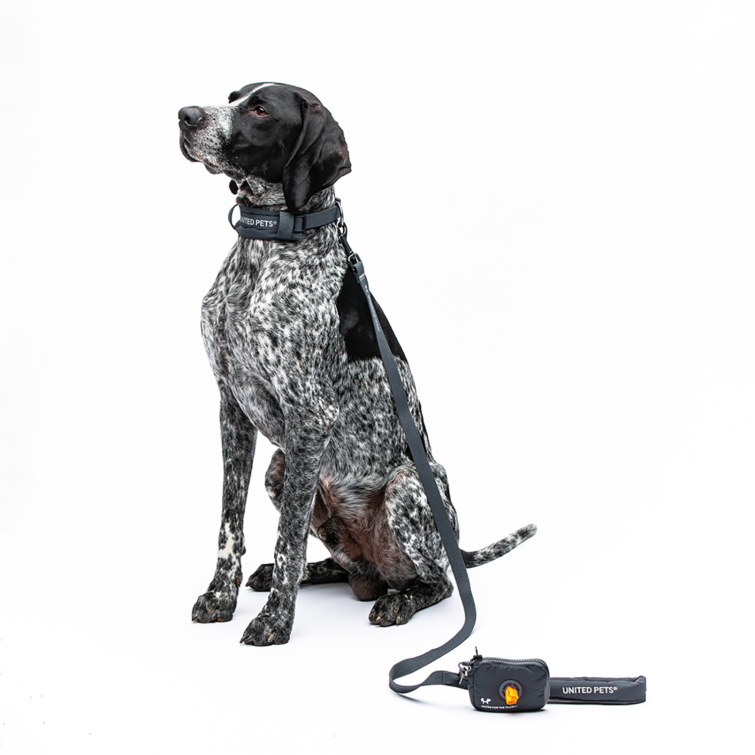 Поводок-перестежка United Pets для собак Citylife 2 х 200 см черный