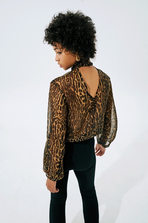 Блуза Луиза