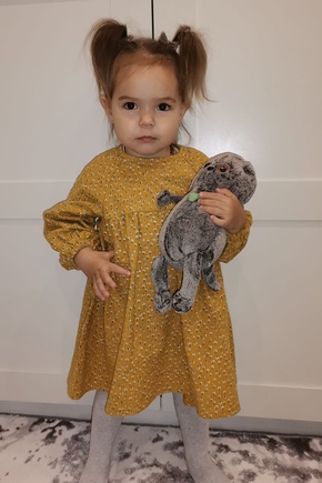 Идеальная модель