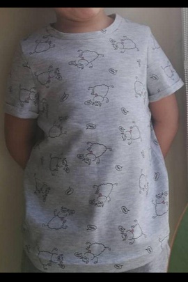 
                             
                                Футболка Алексис.
                                Обложка отзыва пользователя Светлана
                             
                        