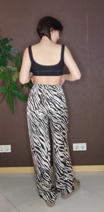 Номер 4 Зебра