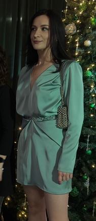 Образ для НГ