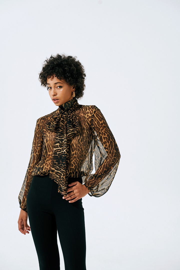 Блуза Луиза