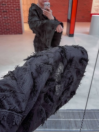 Черный лебедь