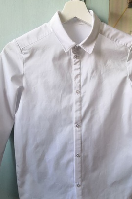 
                             
                                Рубашка Итан.
                                Обложка отзыва пользователя Irena Odller
                             
                        