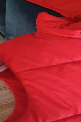 
                             
                                Эвер жилет на утеплителе (мальчики).
                                Обложка отзыва пользователя Пользователь 139476
                             
                        