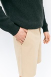 Troy shorts