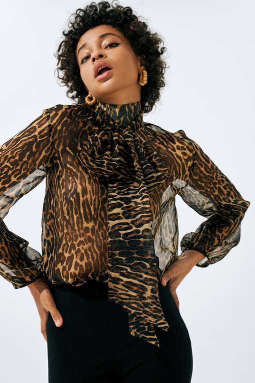 Блуза Луиза