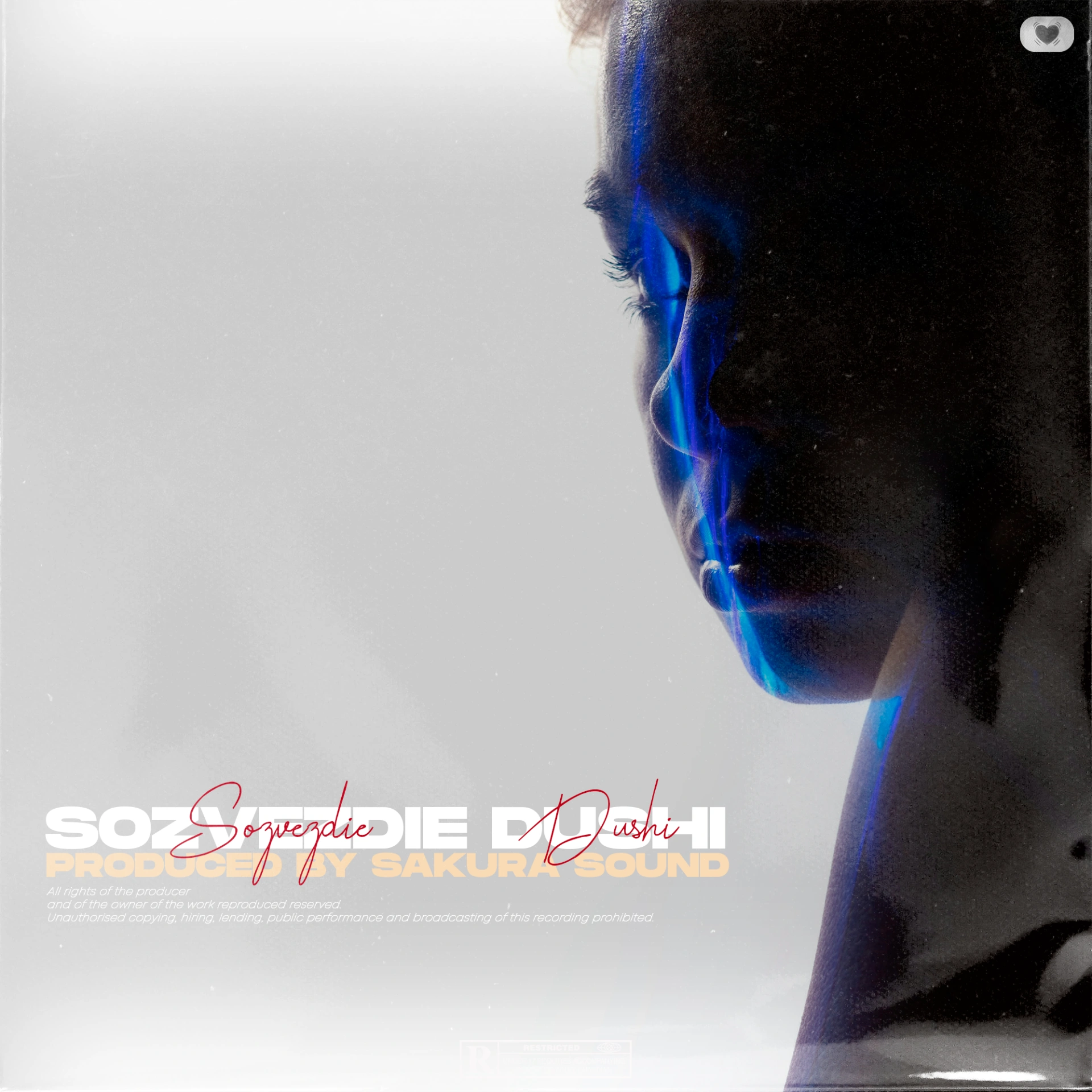 Готовая аранжировка "sozvezdie dushi"