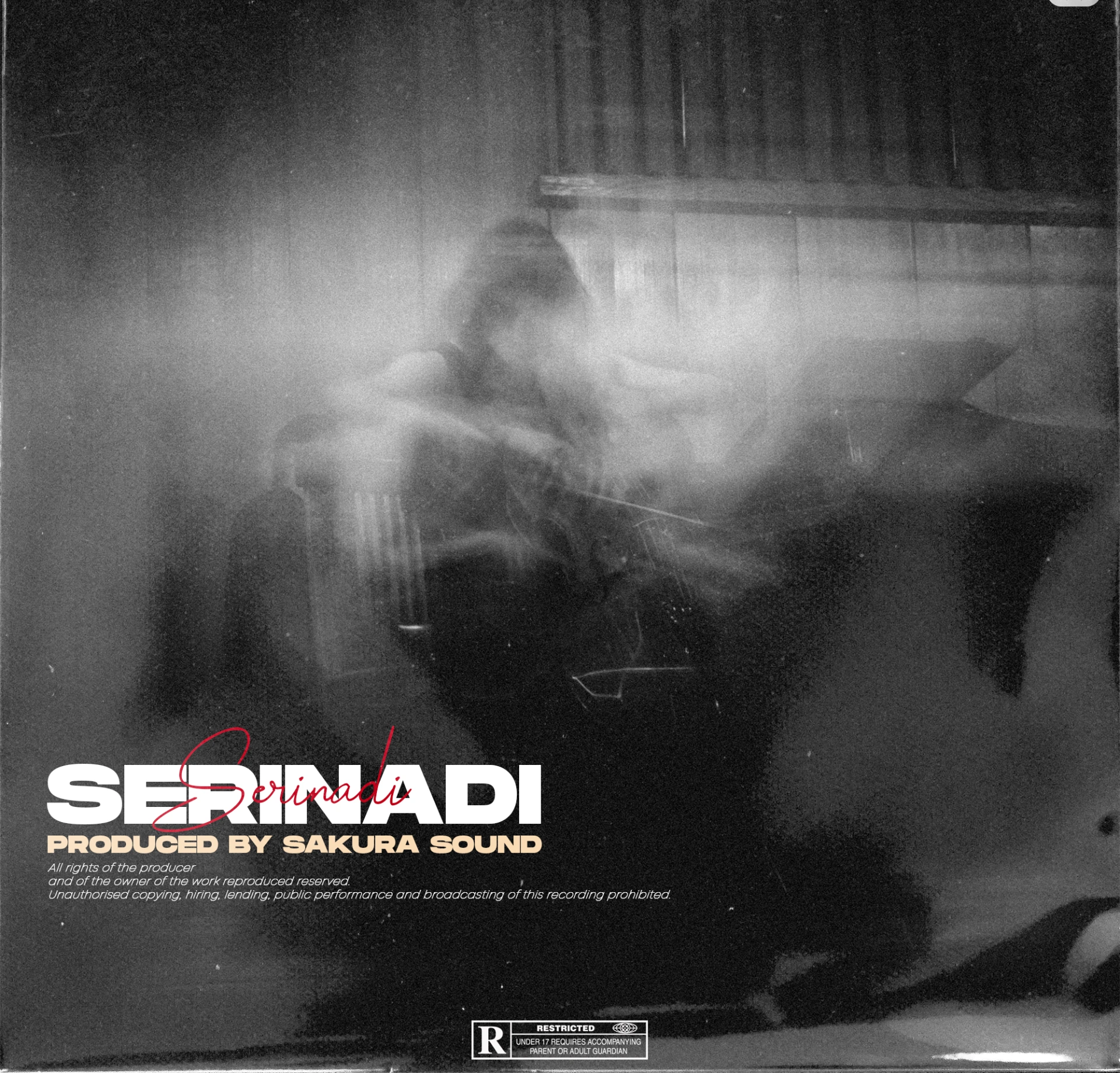 Готовая аранжировка "serinadi"