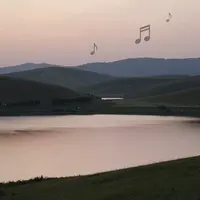 موسيقى هادئة للاسترخاء