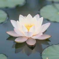Meditationsmusik