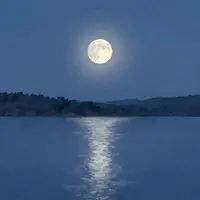 Serene Nature Images