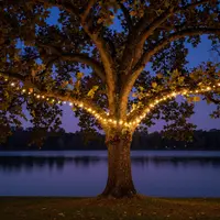 Gemütliche Nachtszenen