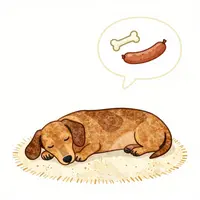 Arte de Perros Salchicha
