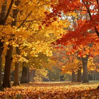 Indian Summer
