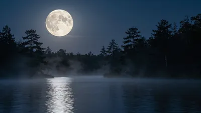 Silver Moonlight Night