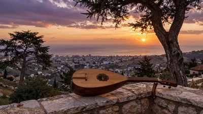 Cedar Whispers at Sunset