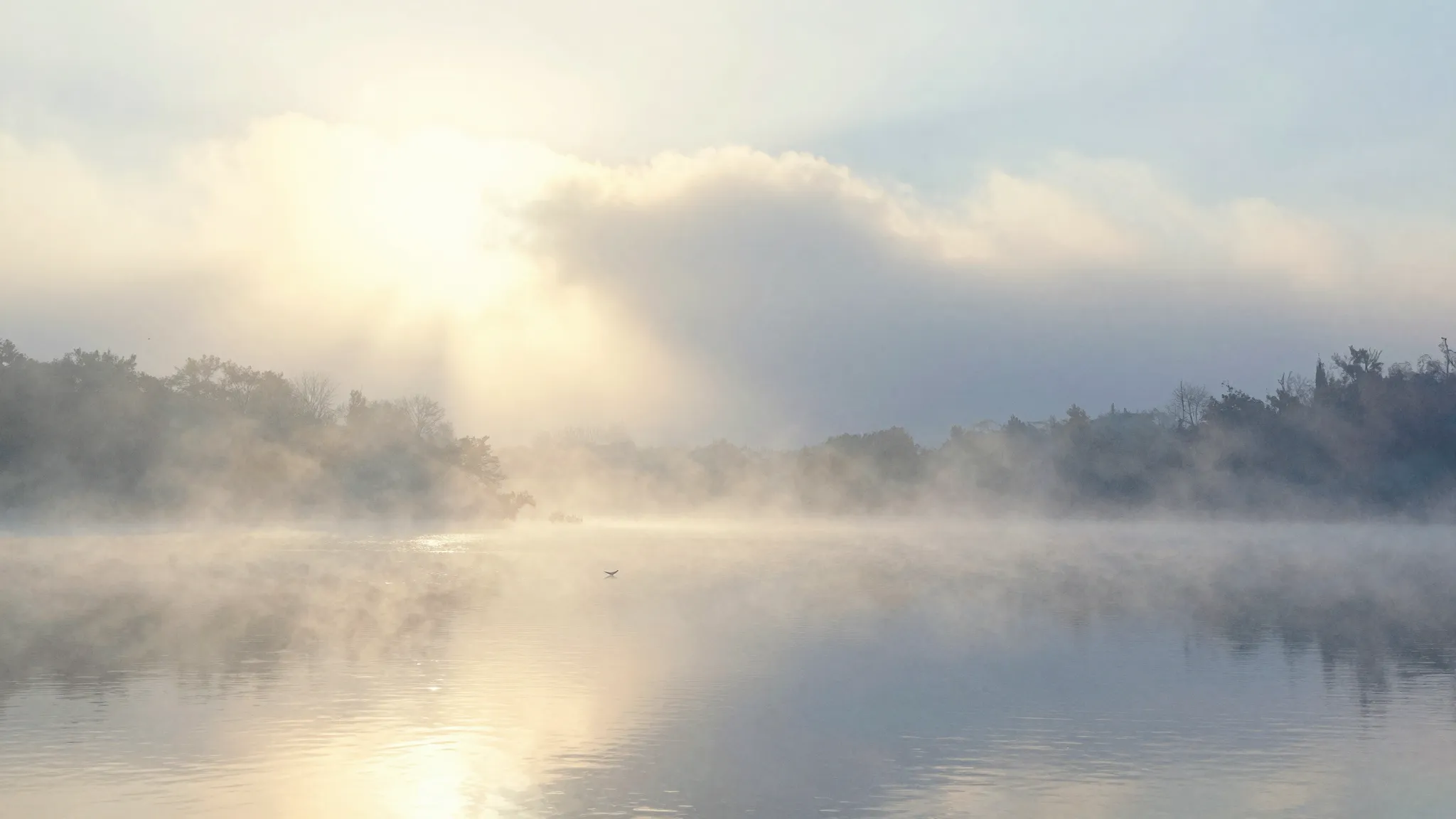 Watercolor style. A gentle morning mist over a calm lake, a ...