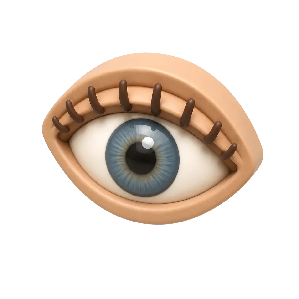Eye