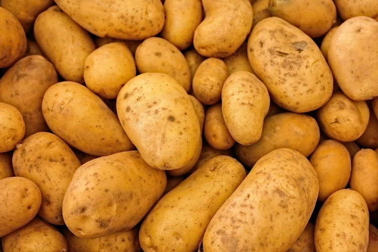 Картофельный союз предложил сетям снизить требования к качеству картофеля