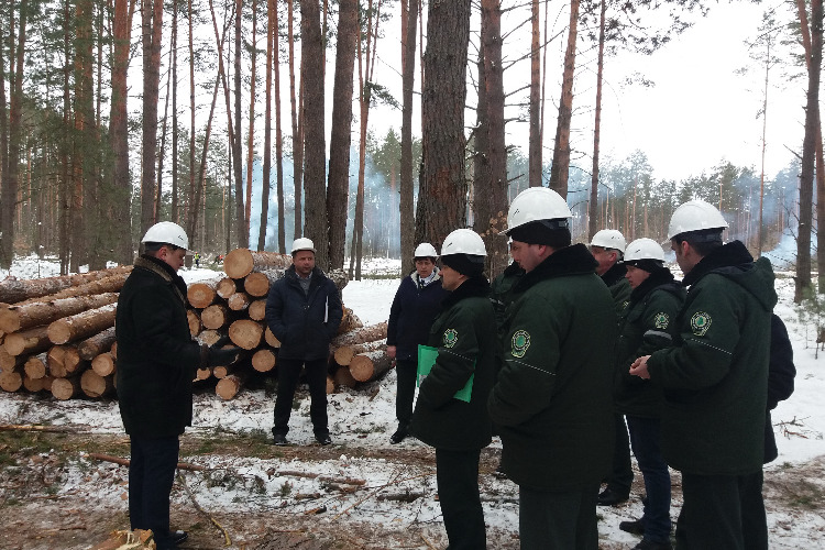 Лесхоз. Лесхоз Вольск. Красноленинский лесхоз. Лесничества. Лесное хозяйство Толбазы. Лесхоз фото.