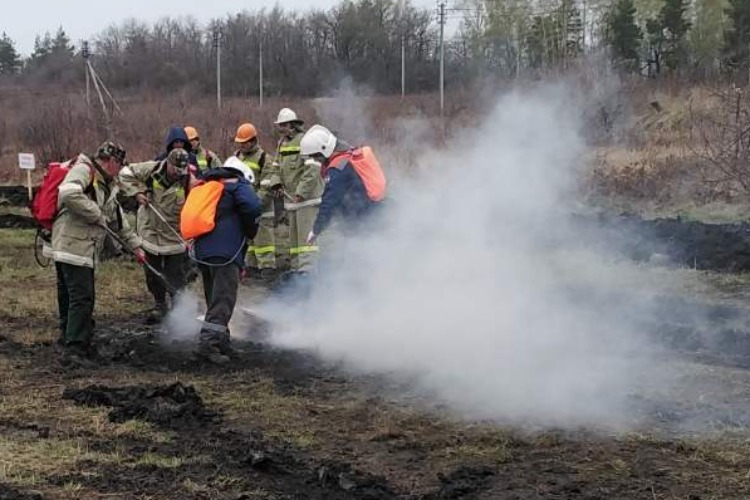 В Вольске из-за природного пожара администрация 