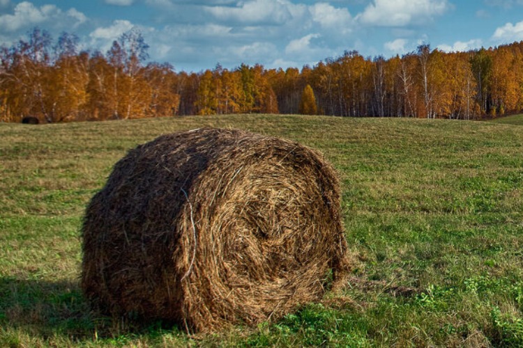 Прогноз погоды на сегодня