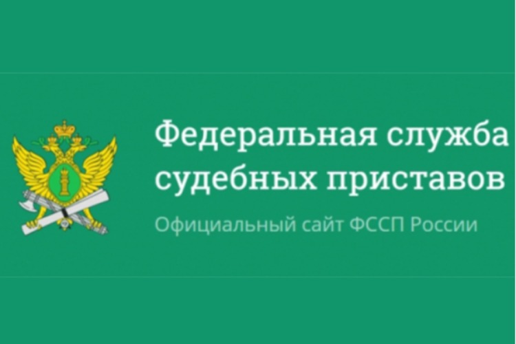 Федеральные приставы по краснодарскому краю. ФССП по Ростовской области. ФССП Зеленоград. Запись на личный прием к должностным лицам ФССП России.