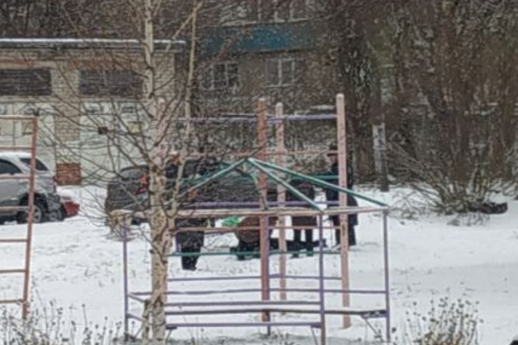 В Вольске на детской площадке обнаружен труп