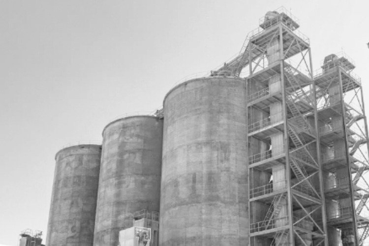Вольский цементный завод оштрафован за экологические нарушения