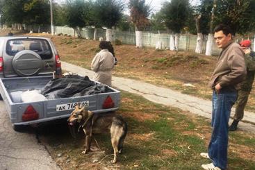 В Вольске по улице протащили собаку, привязанную к автомобилю