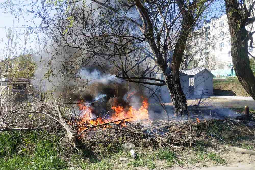 В Вольске пожарные не позволили огню перекинуться на строения