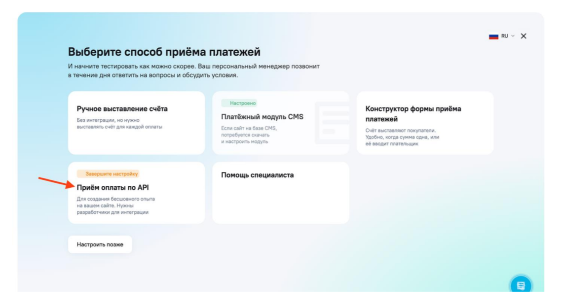 Скриншот: Выбор способа Приём оплаты по API