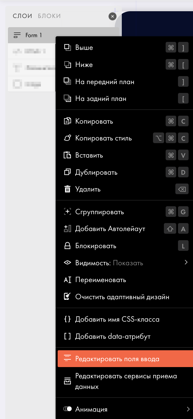 Скриншот: Контекстное меню → Редактировать поля ввода