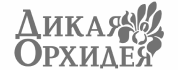 универсальная карта в подарок. Смотреть фото универсальная карта в подарок. Смотреть картинку универсальная карта в подарок. Картинка про универсальная карта в подарок. Фото универсальная карта в подарок
