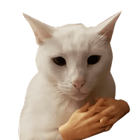 Изображение сертификата test1