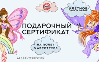 Изображение сертификата Аэротруба - AeroButterfly