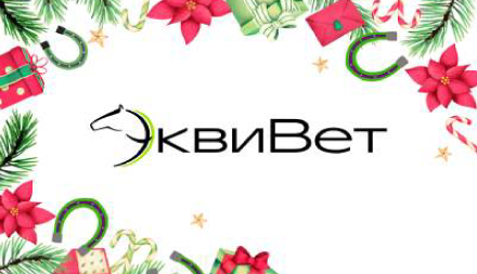 Изображение сертификата Конноспортивный магазин «ЭквиВет»