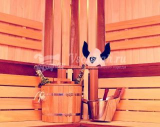 Сауна Сауна КУПЕЛЬ в Рославле