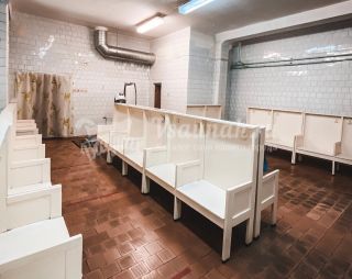 Сауна Баня г. Великие Луки в Великих Луках