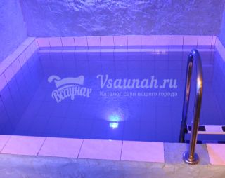 Берёза в Люберцах