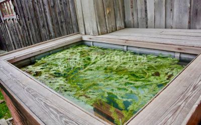 Баня Action Park в Коломне